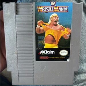 The original WWF Wrestle Mania game or NES 1